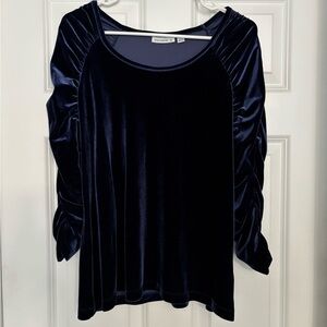 Susan Graver Blue Velvet Top